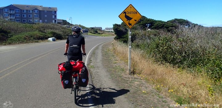 Radtour auf dem Oregon Coast Highway entlang der Pazifikküste.