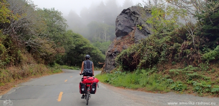 Mit dem Fahrrad über den Redwood Highway nach Fernale