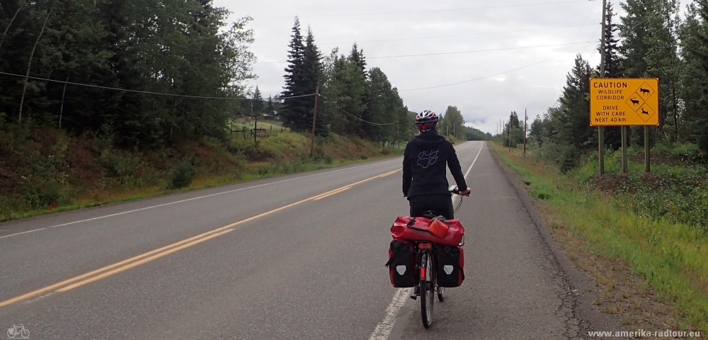 Yellowhead Highway