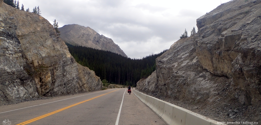 Mit dem Fahrrad von Jasper nach Columbia Icefield. Radtour über den Icefields Parkway.