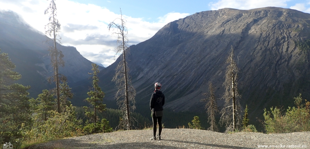 Cycling from Columbia Icefield via Saskatchewan River Crossing to Lake Louise.  Icefields Parkway by bicycle.