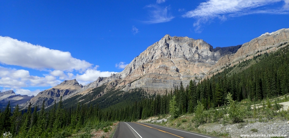 Mit dem Fahrrad von Jasper nach Columbia Icefield. Radtour über den Icefields Parkway.