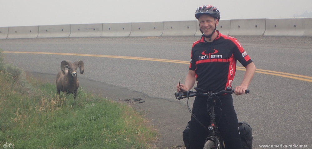 Cycling from Salmon Arm to Kamloops. Trans Canada Highway by bicycle.