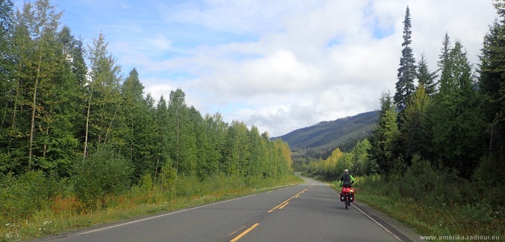 British Columbia and Yukon by bicycle: Cycling the Cassiar Highway northbound. Stage Meziadin Junction - Bell2 Lodge. 