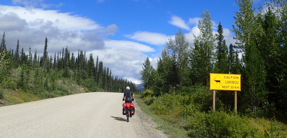 British Columbia and Yukon by bicycle: Cycling the Cassiar Highway northbound. Stage from Red Goat Lodge (Eddontenajon Lake) to Dease Lake. 