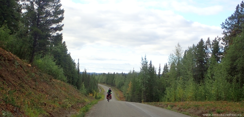 British Columbia and Yukon by bicycle: Cycling the Cassiar Highway northbound. Stage from Dease Lake to Jade City.  