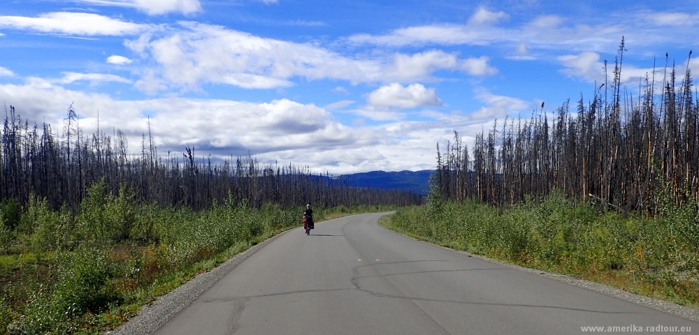 Mit dem Fahrrad von Smithers nach Whitehorse. Radtour über den Yellowhead Highway und Cassiar Highway. Etappe Jade City - Nugget City entlang des Cassiar Highways 