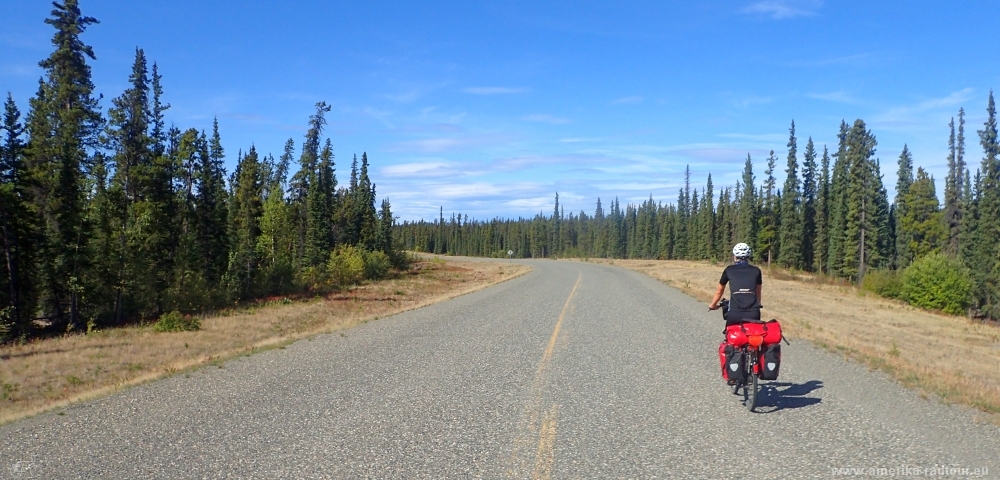 Teslin River Bridge: Mit dem Fahrrad über den Alaska Highway. Etappe Morley Lake - Johnsons Crossing.  