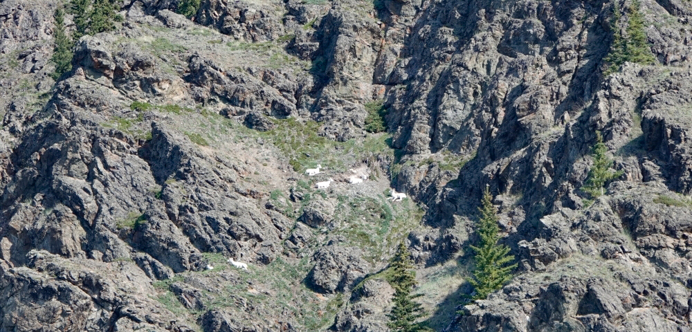 Mit dem Fahrrad über den Klondike Highway. Etappe Whitehorse - Fox Lake.  