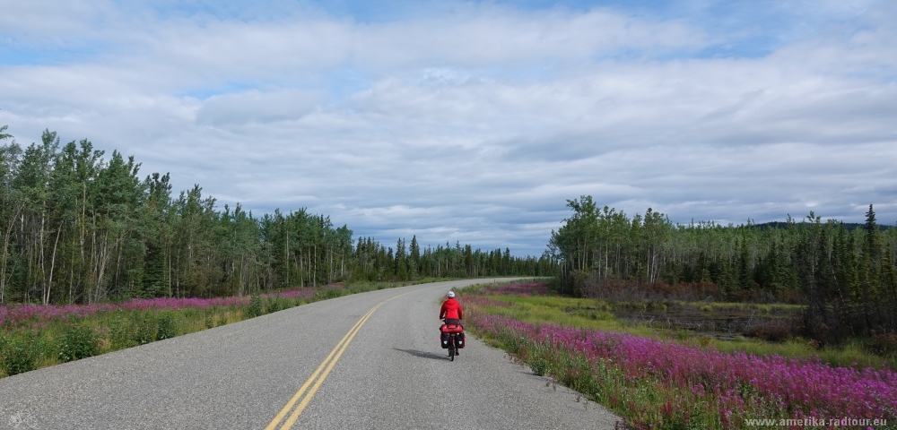 Cycling from Whitehorse to Anchorage following Klondike Highway.   