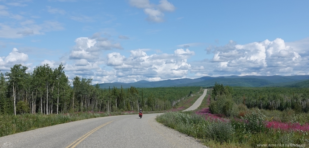 Cycling Klondike Highway northbound to Dawson City. 