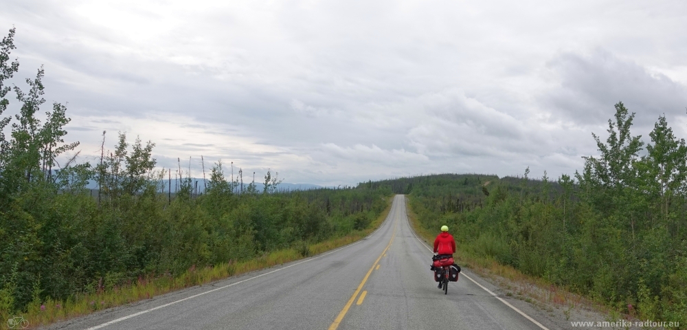 Cycling Taylor Highway from Chicken to West Fork Campground.   