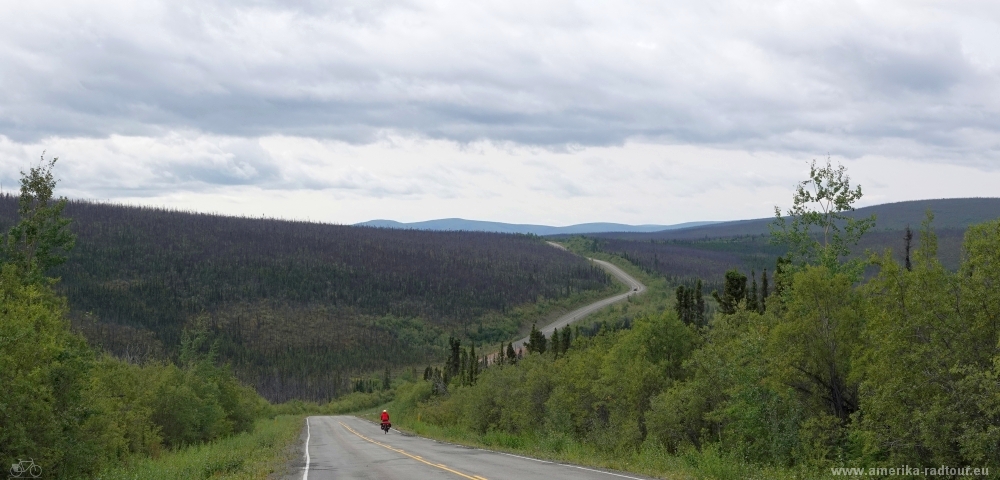 Taylor Highway by bicycle. Leg West Fork Campground to Tok.    