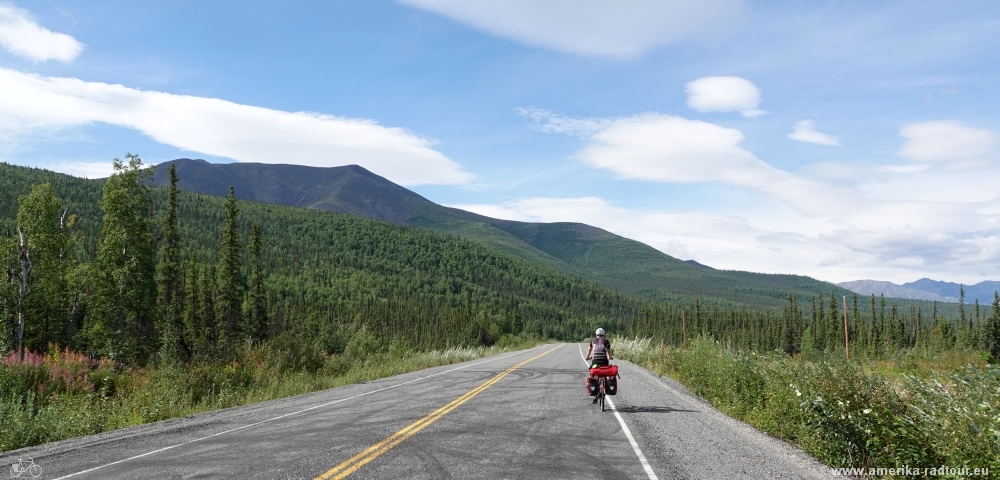 Mit dem Fahrrad über den Alaska Highway Richtung Norden.     