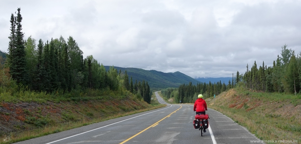 Mit dem Fahrrad über den Alaska Highway Richtung Norden.    