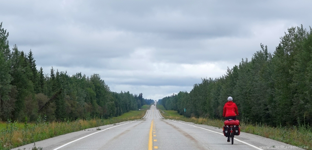 Mit dem Fahrrad über den Alaska Highway Richtung Norden.   