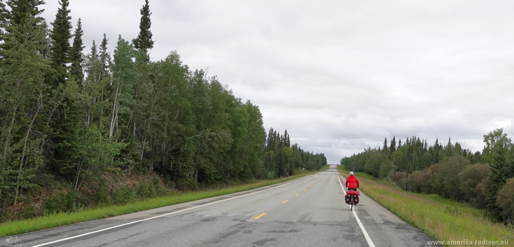 Cycling to Delta Junction following the Alaska Highway northbound.    