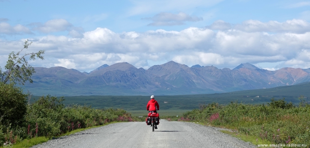 Mit dem Fahrrad über den Denali Highway von Paxson nach Cantwell.  