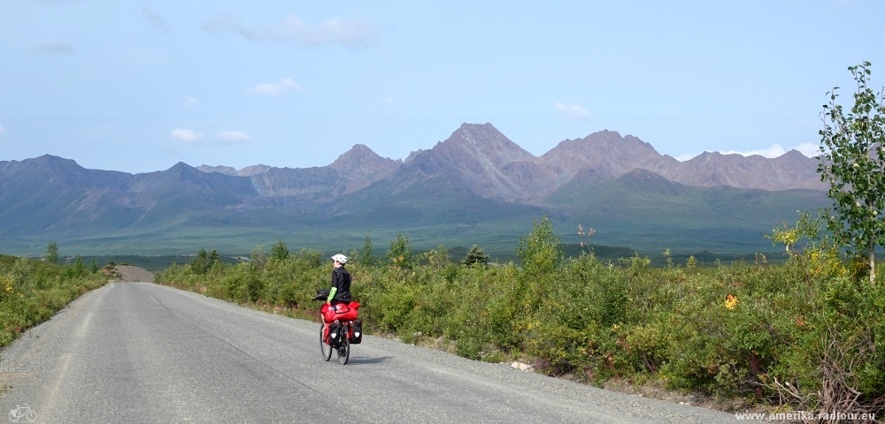 Mit dem Fahrrad über den Denali Highway.   