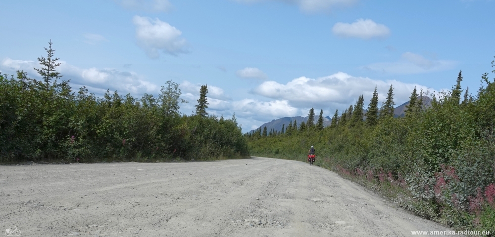 Mit dem Fahrrad über den Denali Highway von Paxson nach Cantwell.  