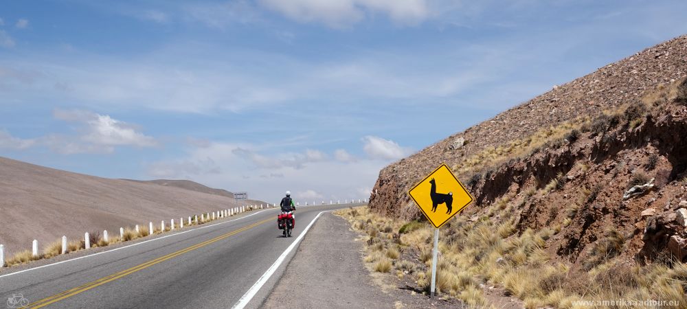 Cycling from Purmamarca to the Salinas Grandes climbing the Cuesta de Lipán.  