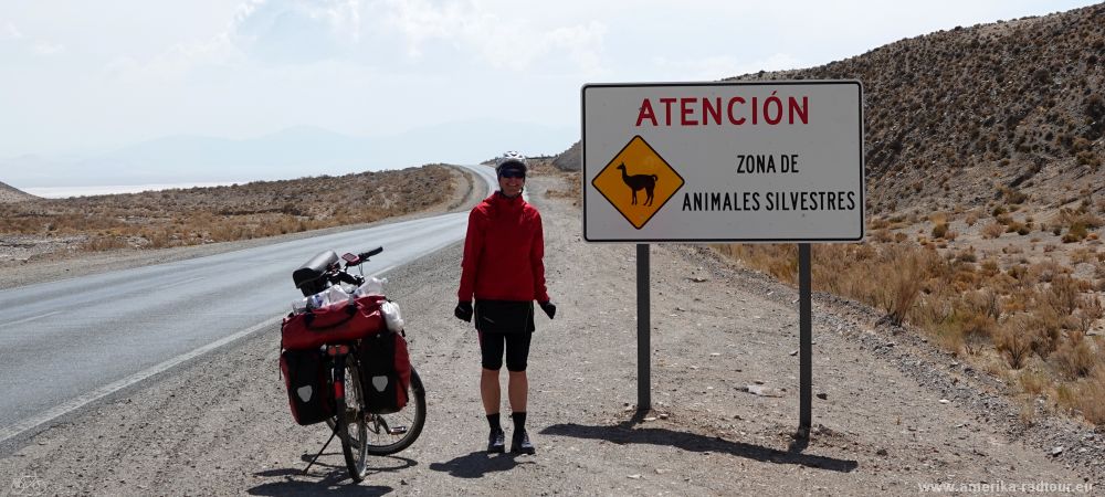 Mit dem Fahrrad von Purmamarca über den Lipán Pass in die Anden Argentiniens.   