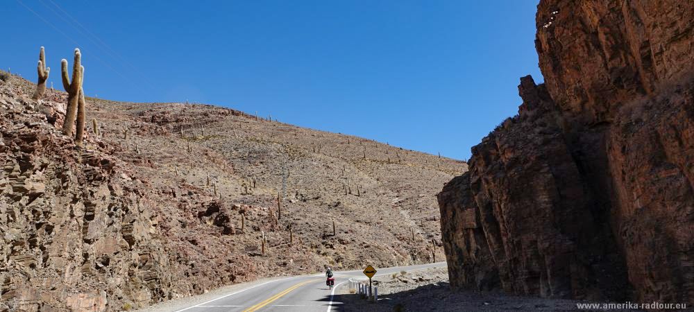 Cycling from Salinas Grandes to Susques following Ruta 52.  