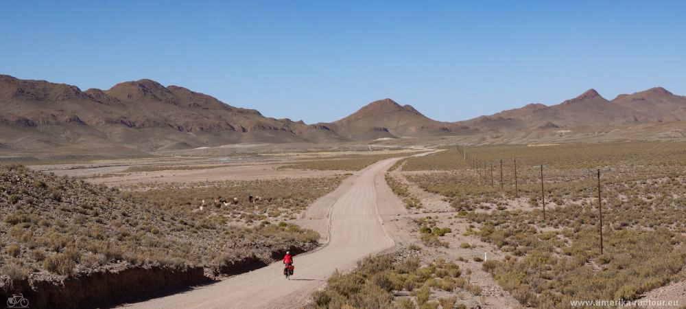 Cycling along the northern part of Argentina's Ruta 40 from Susques via Huancar to Pastos Chicos.   