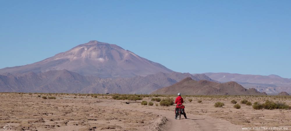 Cycling along the northern part of Argentina's Ruta 40 from Pastos Chicos to Puesto Sey.  