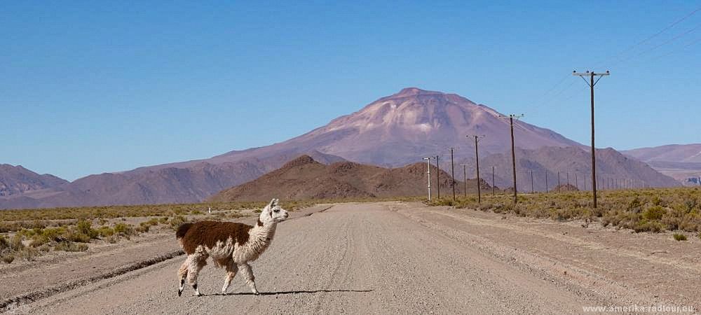 En bicicleta por la Ruta 40 por el norte argentino desde Pastos Chicos hasta Puesto Sey.   