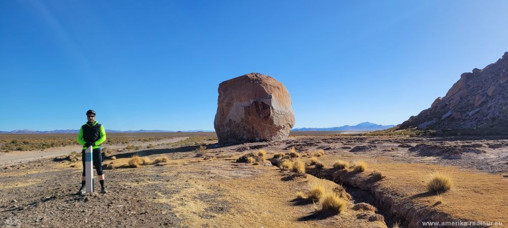 Auf der Ruta40 von Susques nach San Antonio de los Cobres.    