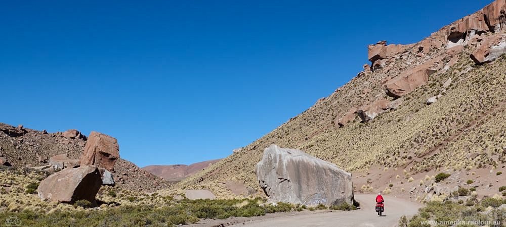 Mit dem Fahrrad entlang der Ruta40 nach San Antonio de los Cobres.    