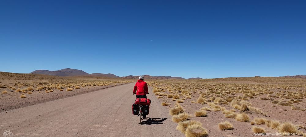 Mit dem Fahrrad über die Ruta 40 von Susques nach San Antonio de los Cobres.   