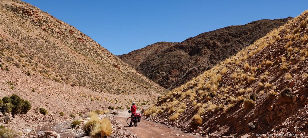 Mit dem Fahrrad über die Ruta 40 von Susques nach San Antonio de los Cobres.  