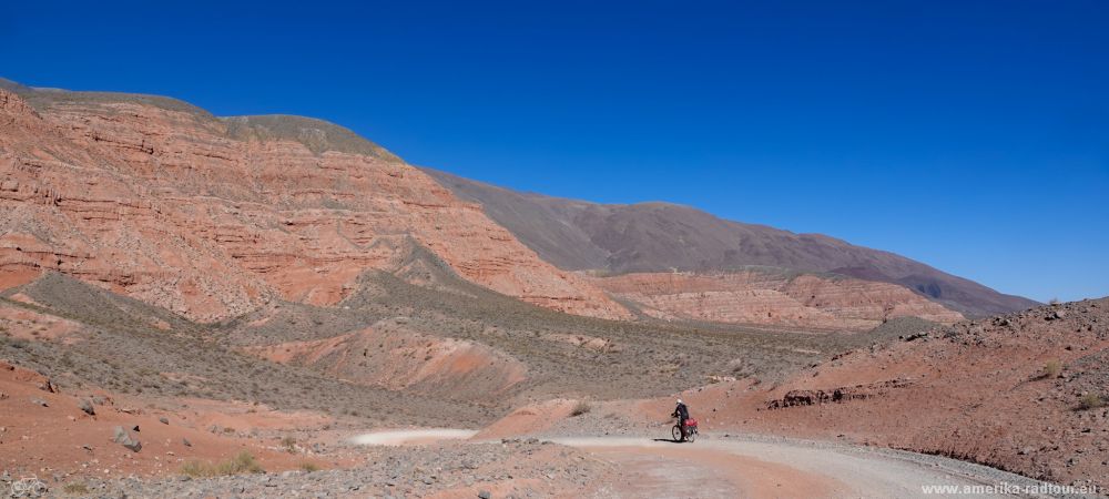 Ruta 40 by bicycle: San Antonio de loas Cobres to La Poma    