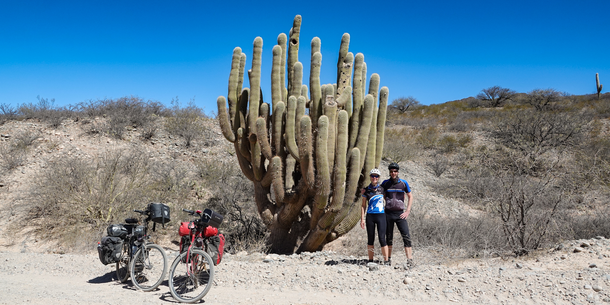 Mit dem Fahrrad über die Ruta40 von La Poma nach Payogasta.   