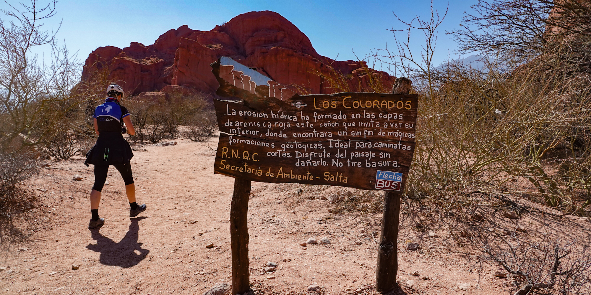 Mit dem Fahrrad über die Ruta 68 von Cafayate nach Norden.   